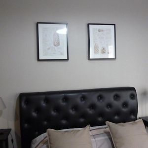Comfort Eenpersoonskamer